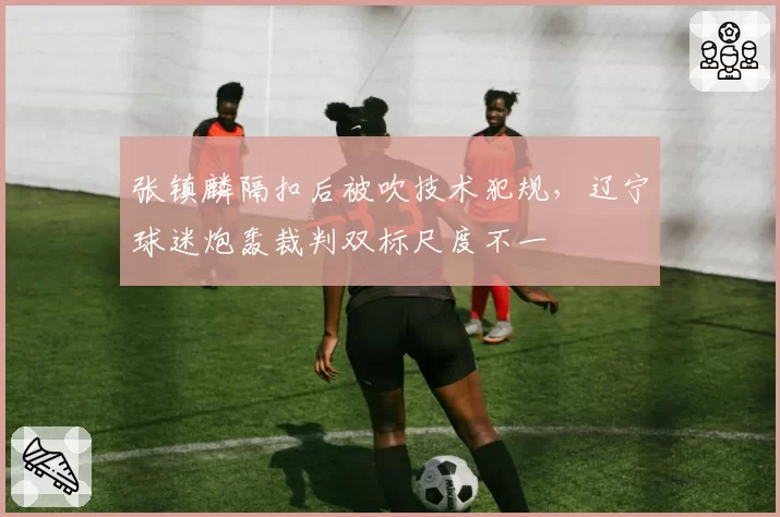 张镇麟隔扣后被吹技术犯规，辽宁球迷炮轰裁判双标尺度不一